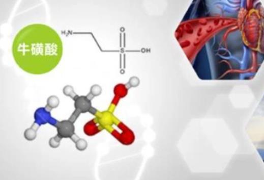 牛磺酸含量高的食物有哪些